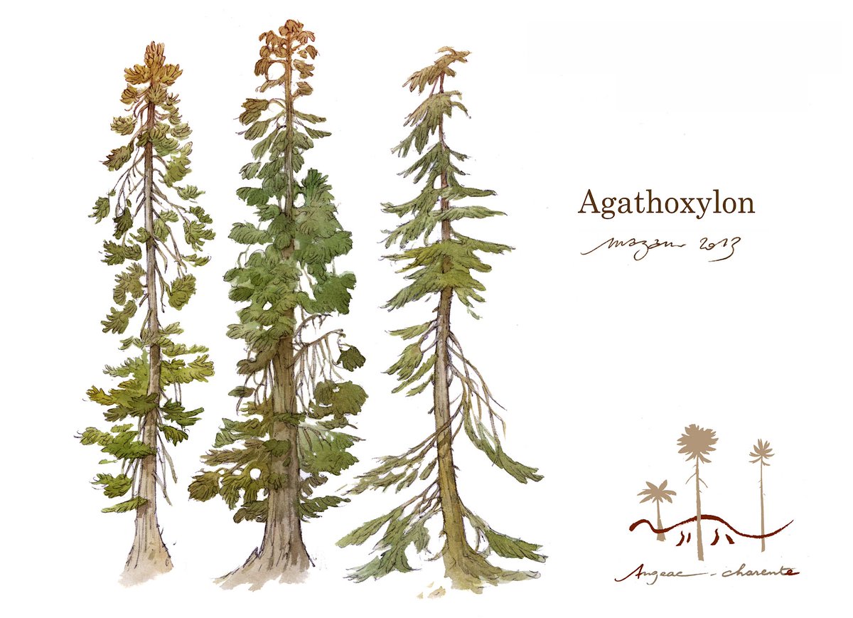 Claire Peyre de Fabrègues tweet media