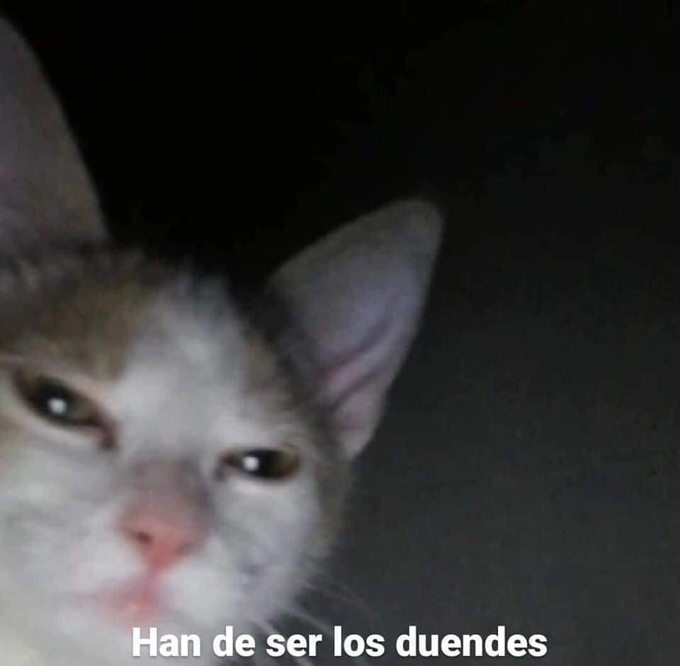 Cuando pierdo otro amor por no demostrar: