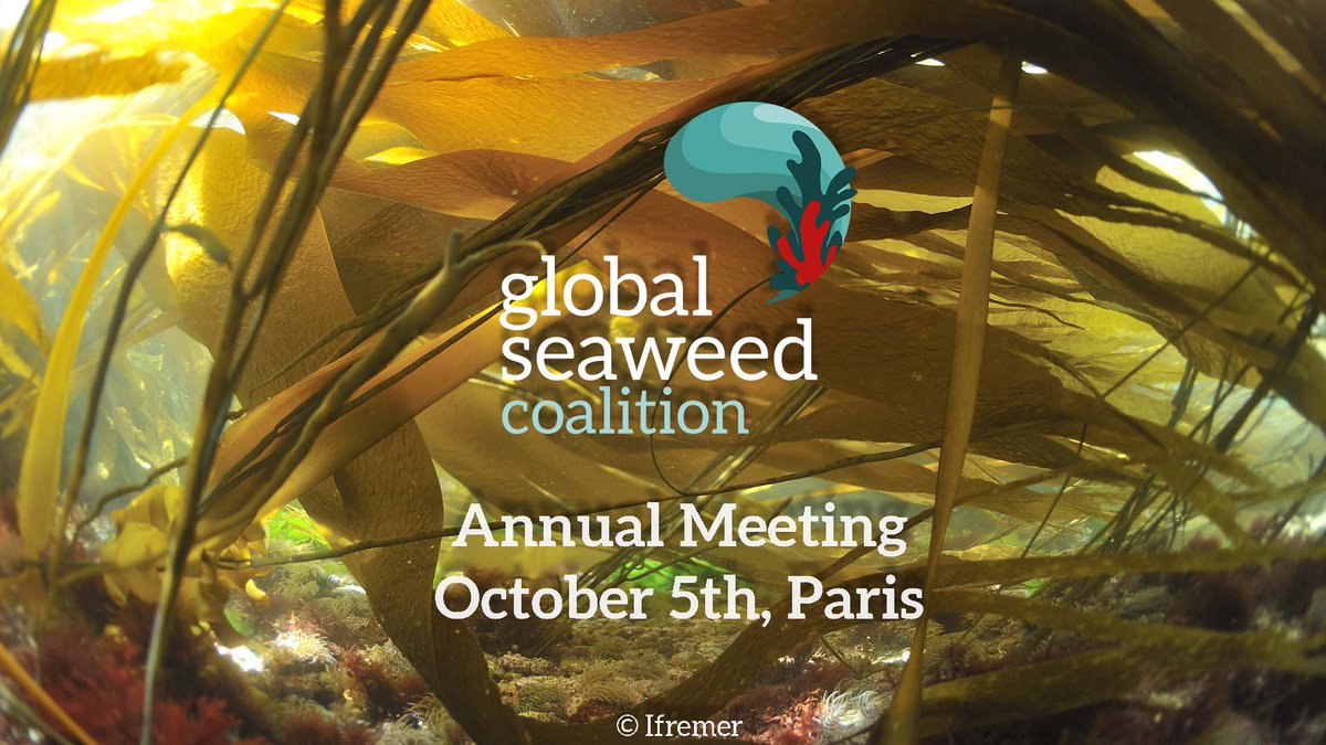 Safe_Seaweed's tweet photo. 🌊After a busy transition year, we are proud to invite our growing seaweed community to our second Annual Meeting, to be held 5 October 2023 at the Maison de l'Océan in Paris! 

@OceanoMonaco 

#GlobalSeaweedCoalition #SeaweedRevolution 

Learn more : https://t.co/xsEdN1NxUY https://t.co/5WOokli3DH