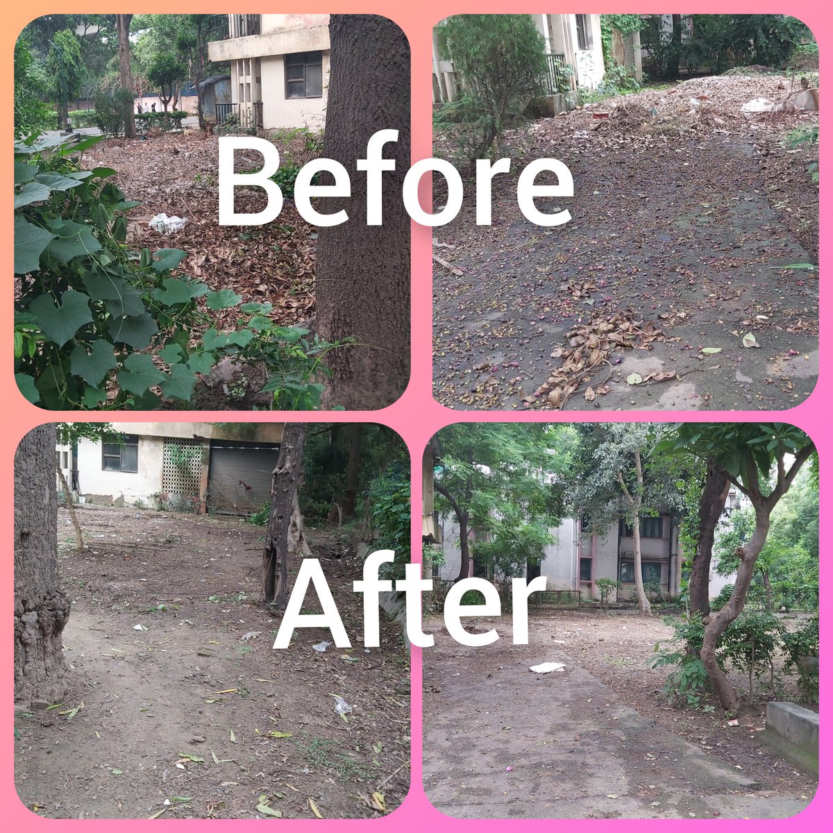 SaifiGeeta's tweet photo. Thank you so much Mr.Tejender Bareja,Deputy Manager,Dakshin Dilli Swachh Initiatives Pvt Ltd,u have made the difference in everyone's life residing inside the campus including students &amp; staff. It has given a asthetic look to our campus.Really grateful.Thnx to u &amp; ur team. https://t.co/B388UV6D8O