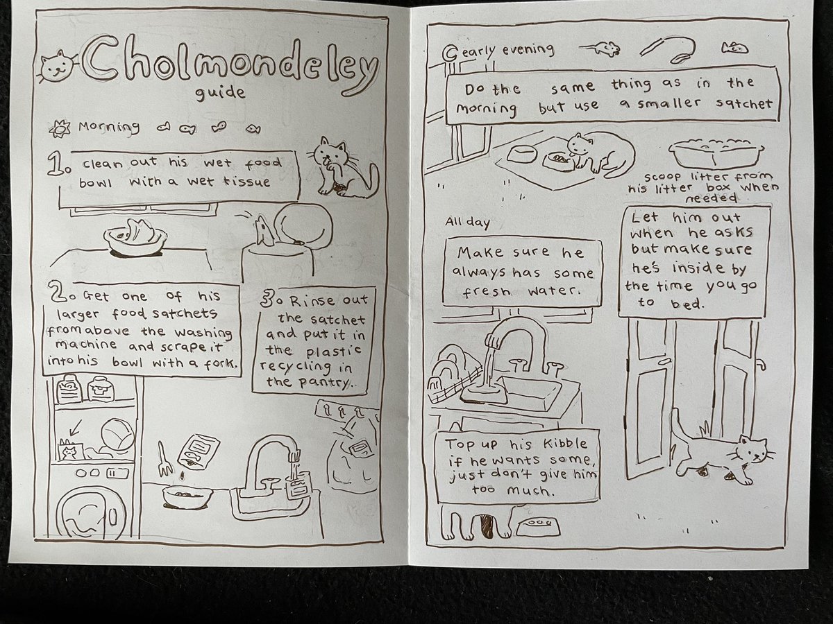 lucigosling's tweet photo. OK, here we go. These are the cat care instructions! https://t.co/8ijNlStKfU