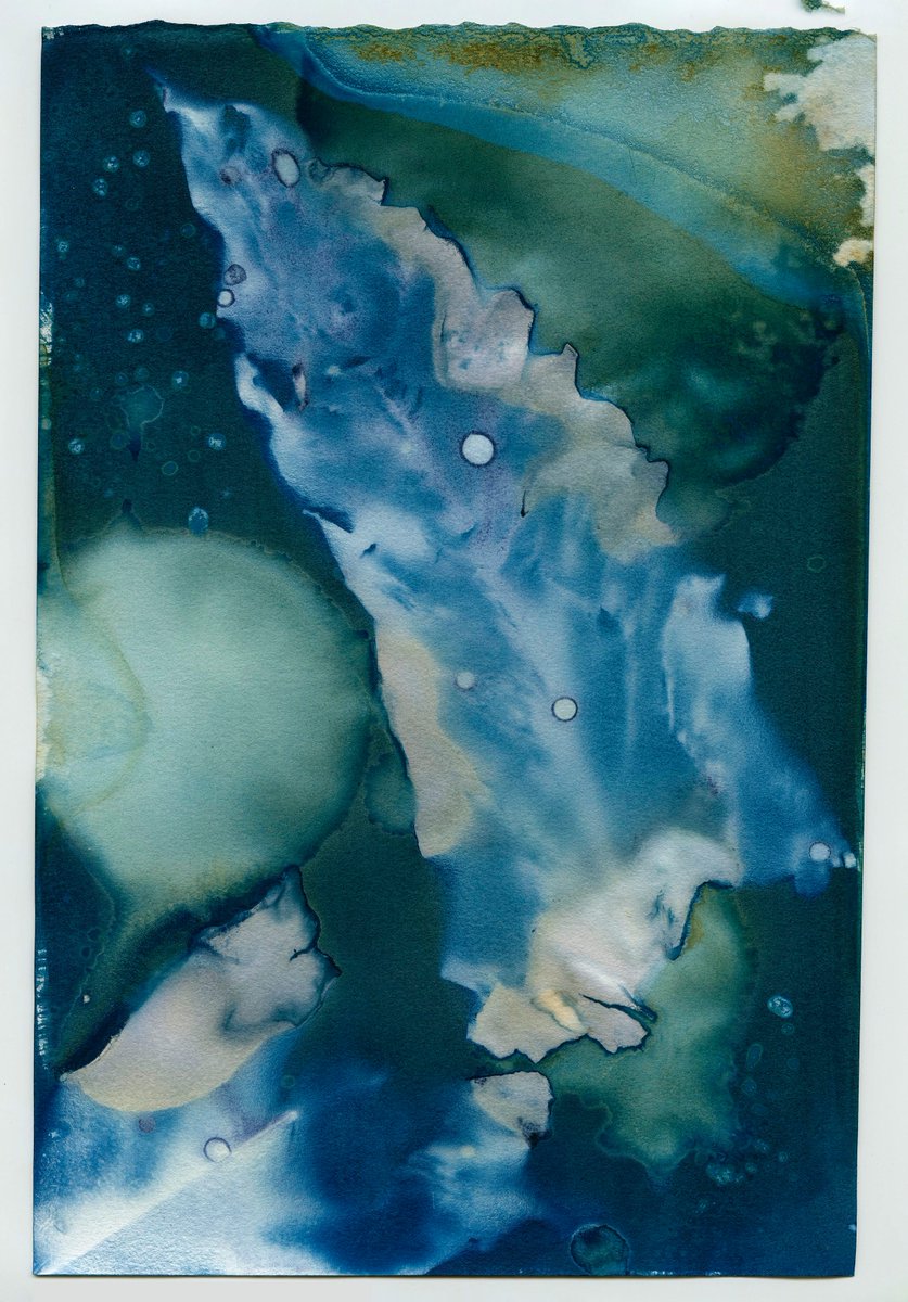 All three one-of-a-kind #wetcyanotype prints from the series "The Plants I Kill" are now in the hands of the NFT holder, this is the first full series of physically backed works that I have sold out on the #Algorand These won't be the last I make here! #PhysicallyBackedNFT