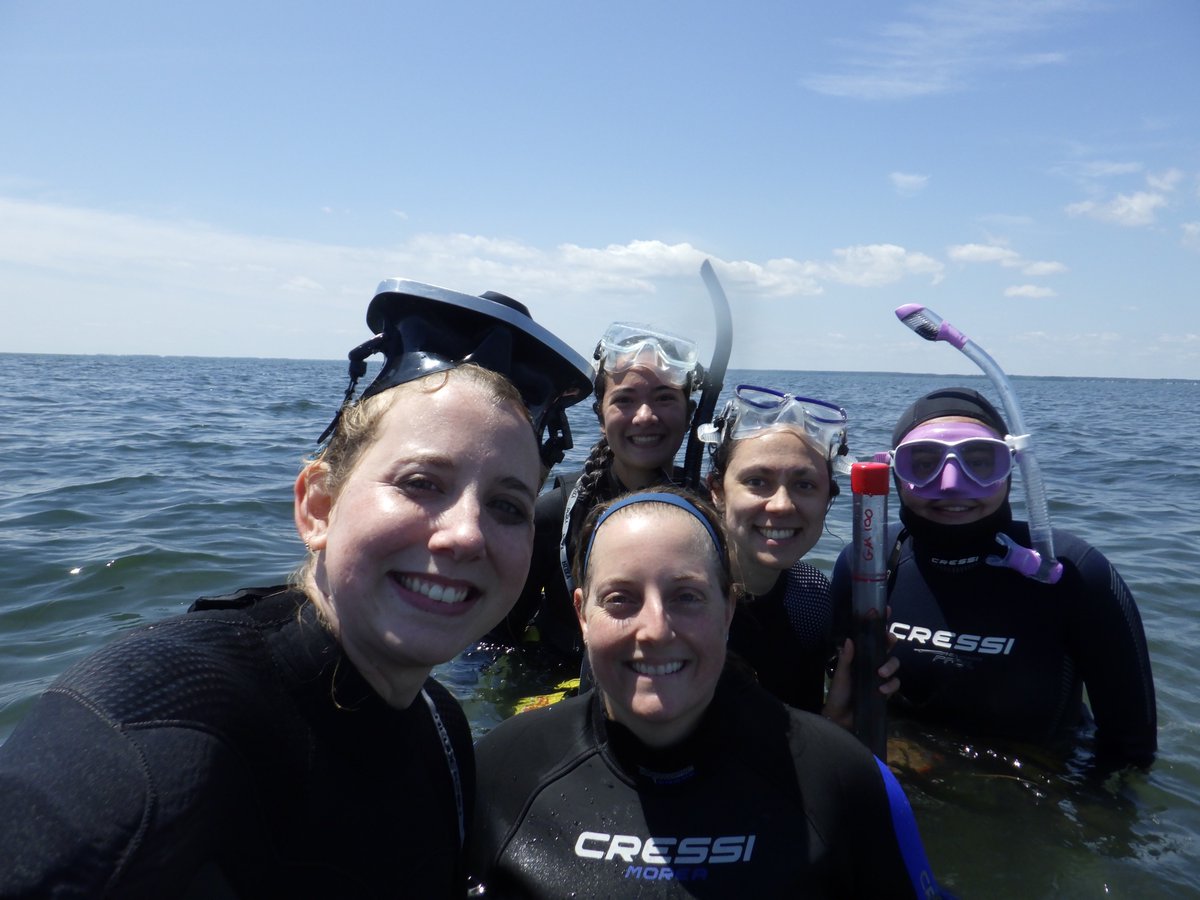 New skill unlocked: coring underwater 🤿 

Highlight of my summer has been collecting 145 sediment cores in seagrass meadows for a blue carbon project with this killer team!