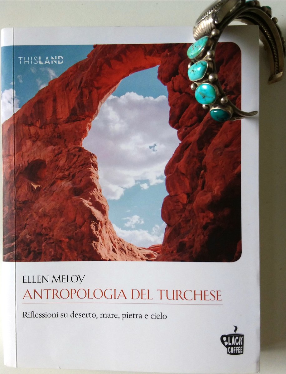 "Il walkabout degli Ahamakav"
Siete in piedi sull'ampia e riarsa distesa del Mojave. Alle vostre spalle una scarpata di spirali di roccia si leva bruscamente dalla piana alluvionale.
Ellen Meloy
@edblackcoffee 
#incipitdestate
#scritturebrevi