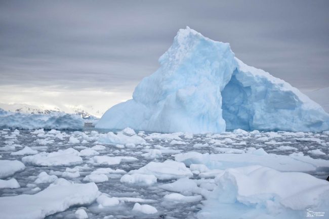 Clara 🌍 LasSandaliasDeUlises tweet media