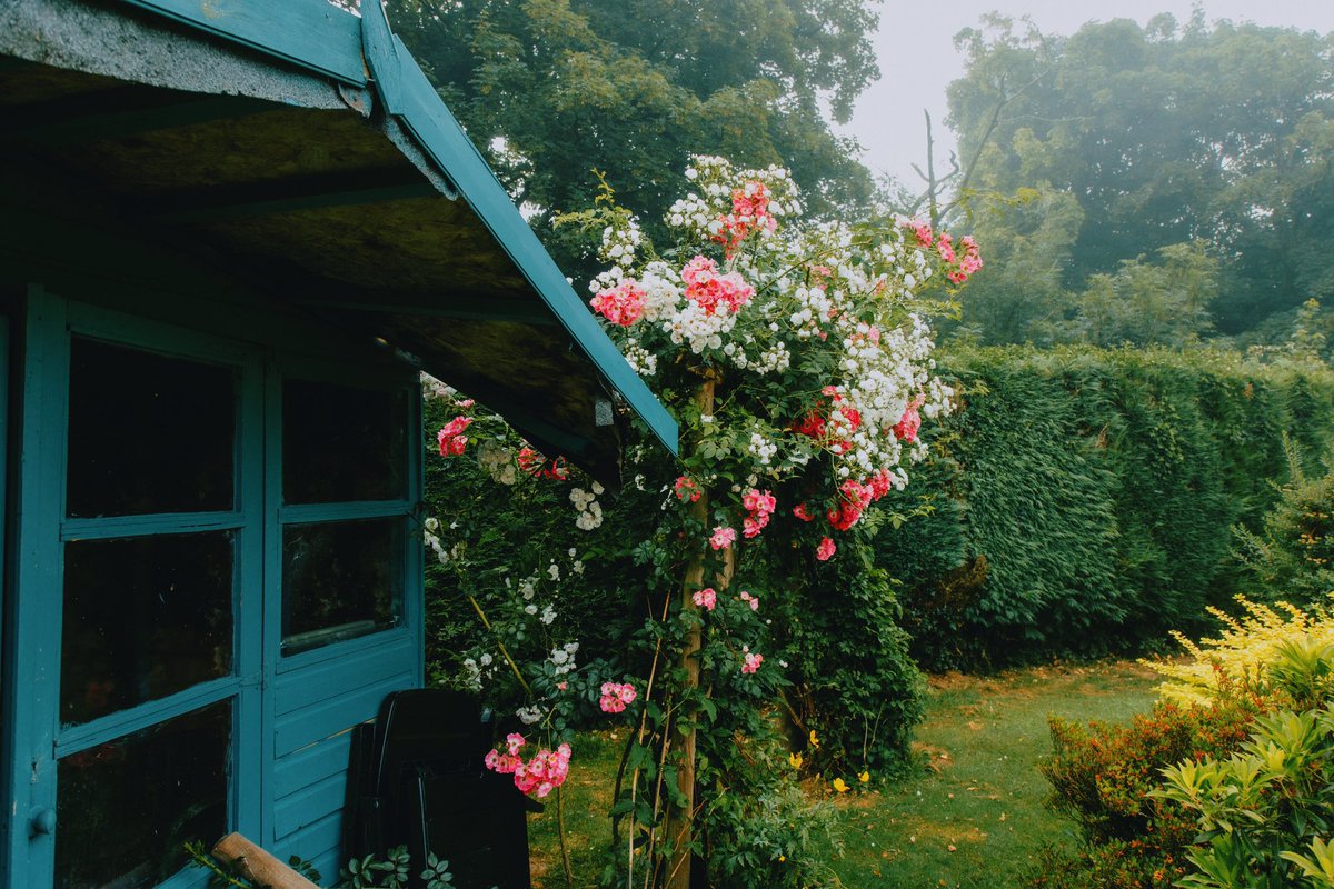 DanielCasson1's tweet photo. Garden Goals 🍃 // https://t.co/fuXMwDDe6x