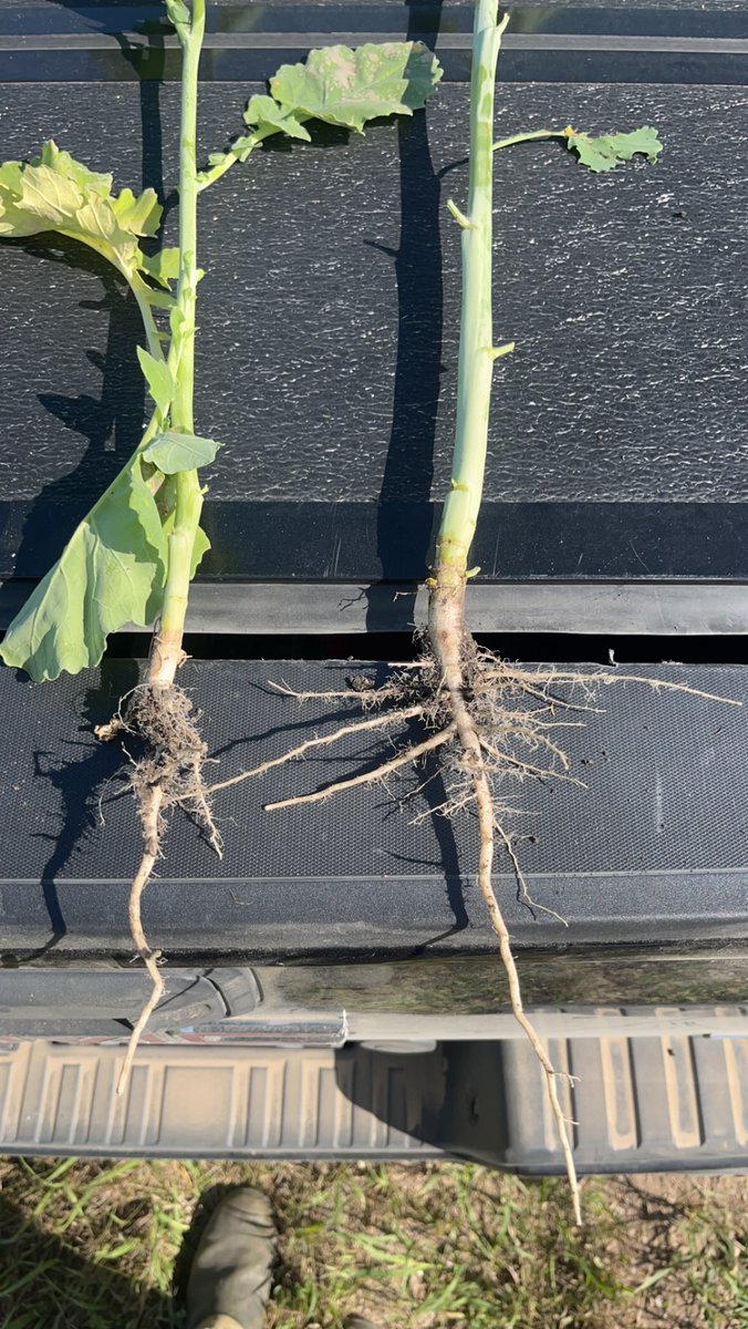 I didn’t know so many people enjoyed swimming naked?!

But…. How would you know until the tide goes out…