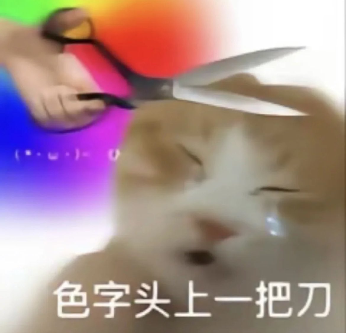 穗岁平安 tweet media