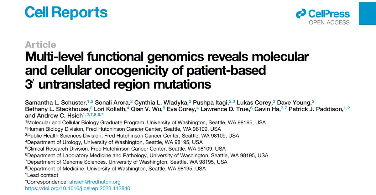 Hsieh Lab (@hsiehlab) on Twitter photo Have you ever wondered if 3’UTR point mutations found in cancer patients matter? We’re excited to share our new publication out today <a href="/CellReports/">Cell Reports</a>, where we’ve defined how prostate tumor 3’UTR mutations affect molecular & cellular oncogenicity. cell.com/cell-reports/f… 1/n Have you ever wondered if 3’UTR point mutations found in cancer patients matter? We’re excited to share our new publication out today <a href="/CellReports/">Cell Reports</a>, where we’ve defined how prostate tumor 3’UTR mutations affect molecular & cellular oncogenicity. cell.com/cell-reports/f… 1/n