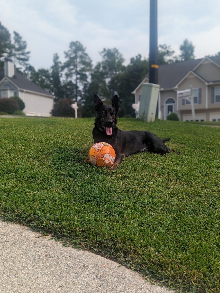 Happy 2nd Birthday Declan!