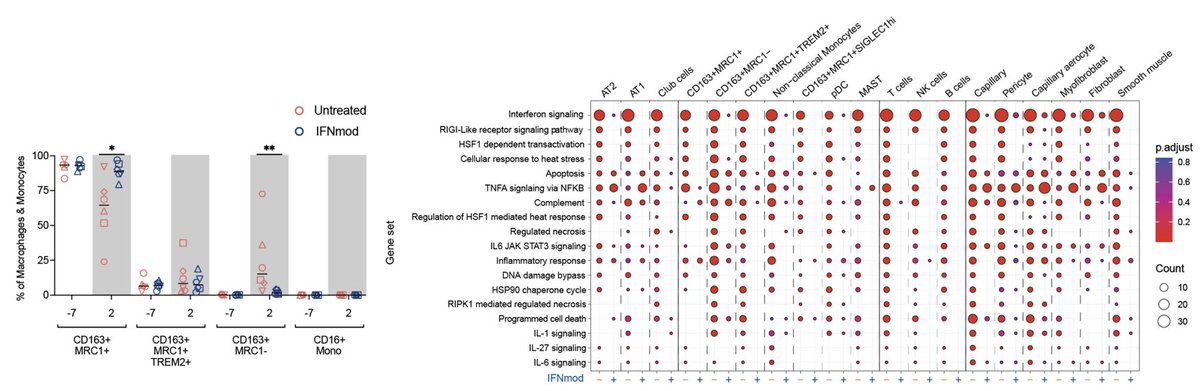 Mirko Paiardini tweet media