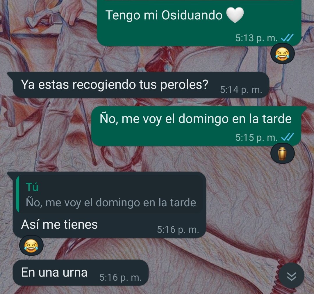 YHalfetirose's tweet photo. Me voy 5 días de viaje, el jevo mío: https://t.co/TUSnEU8yd8