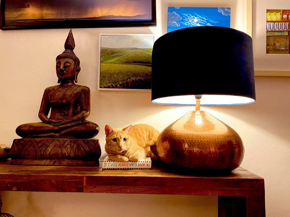 <a href="/CAlifirenka/">Caitlin Alifirenka</a> Hi from Nairobi. We love I Will Always Write Back and it turns out Ninja does too, cos obviously! 💜🐈