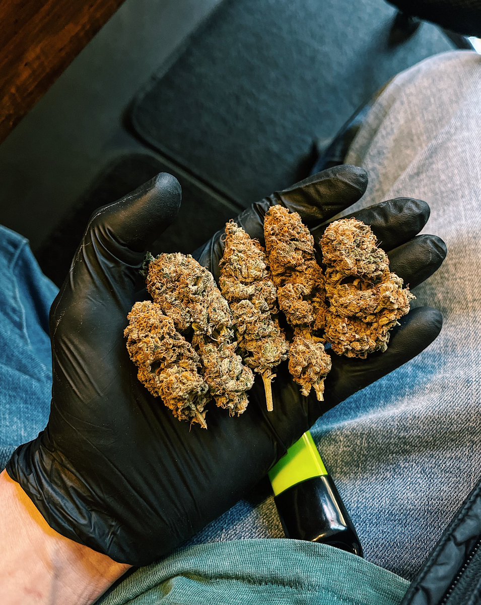 CosechaLibre's tweet photo. Formas de decirle al porro, abro hilo https://t.co/oZ8nioXuyj