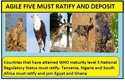 The pace to operationalise #africanmedicinesagency is picking up as the @_AfricanUnion sees the #AfricanContinentalFreeTradeArea #AfCFTA give new wind to AMA Treaty. We want the #BigFive economies 2 ratify & join as we suggest the same to Agile Five @WHO Maturity Level 3 NRAS