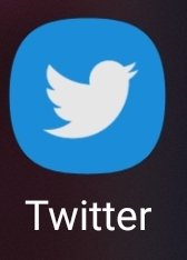 JLSLFK's tweet photo. Farewell little bird. I'll always remember you this way. https://t.co/5xbVtWGXWC
