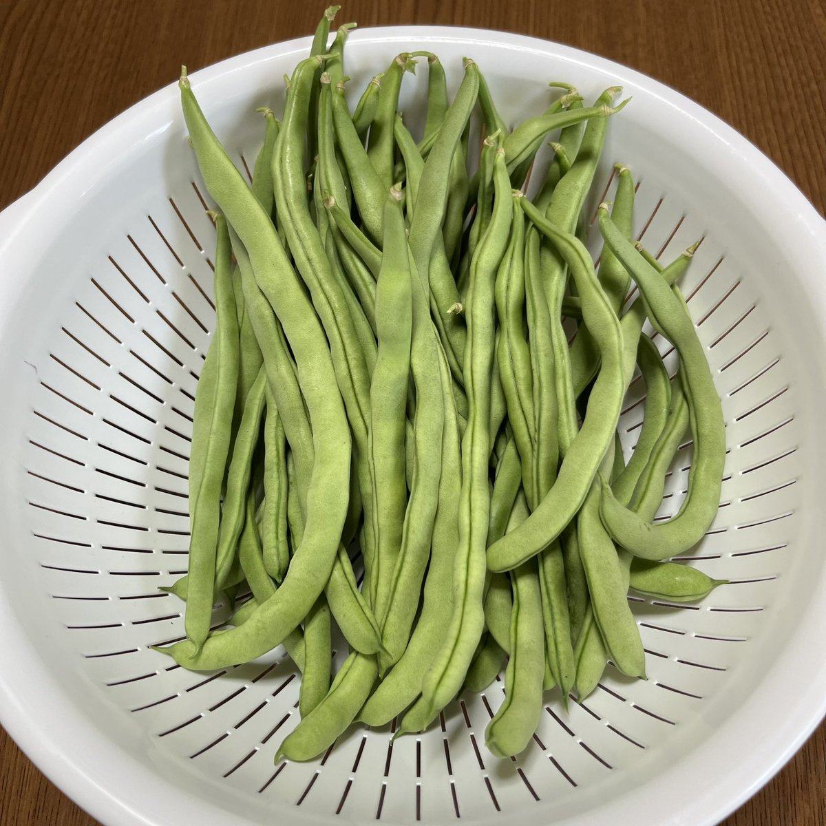 KATOMASA20's tweet photo. おはようございます☀️
畑のメンテナンスと野菜の収穫完了✨️
収穫した野菜🧑🏼‍🌾
いんげん、ナス、白オクラ
#野菜
#野菜作り 
#メンテナンス 
#収穫
#野菜好きと繋がりたい https://t.co/2AWscSoDo2
