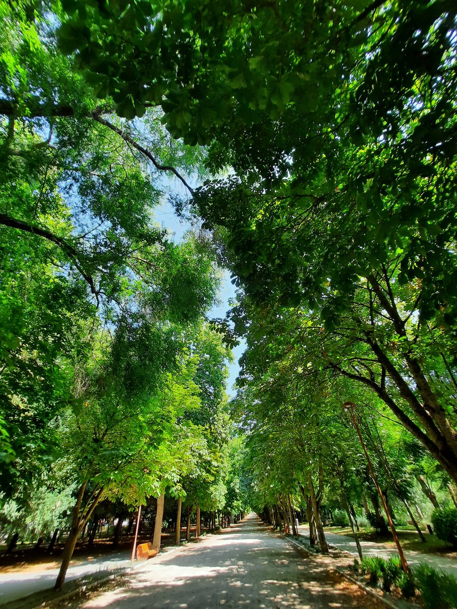 Paseo de la Isla <a href="/Burgosenelmundo/">Burgos en el mundo</a>