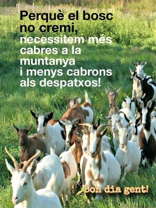 Pepsina_Mataro's tweet photo. El primer que ens cal ...
⭐❤️⭐❤️⭐❤️⭐❤️⭐ https://t.co/oi0Pzwg444