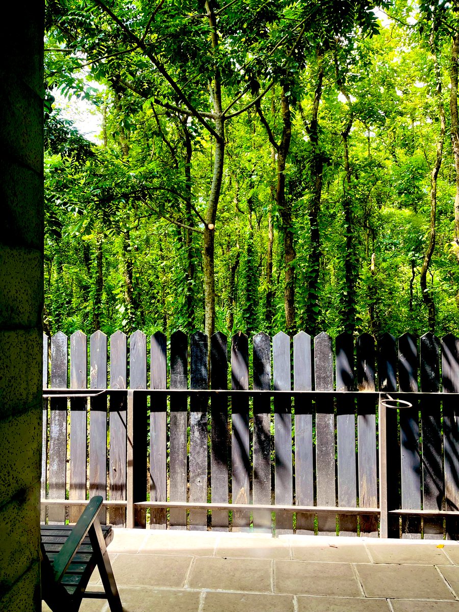 Happy Friday everyone #FridayFeeling #Friday #nature