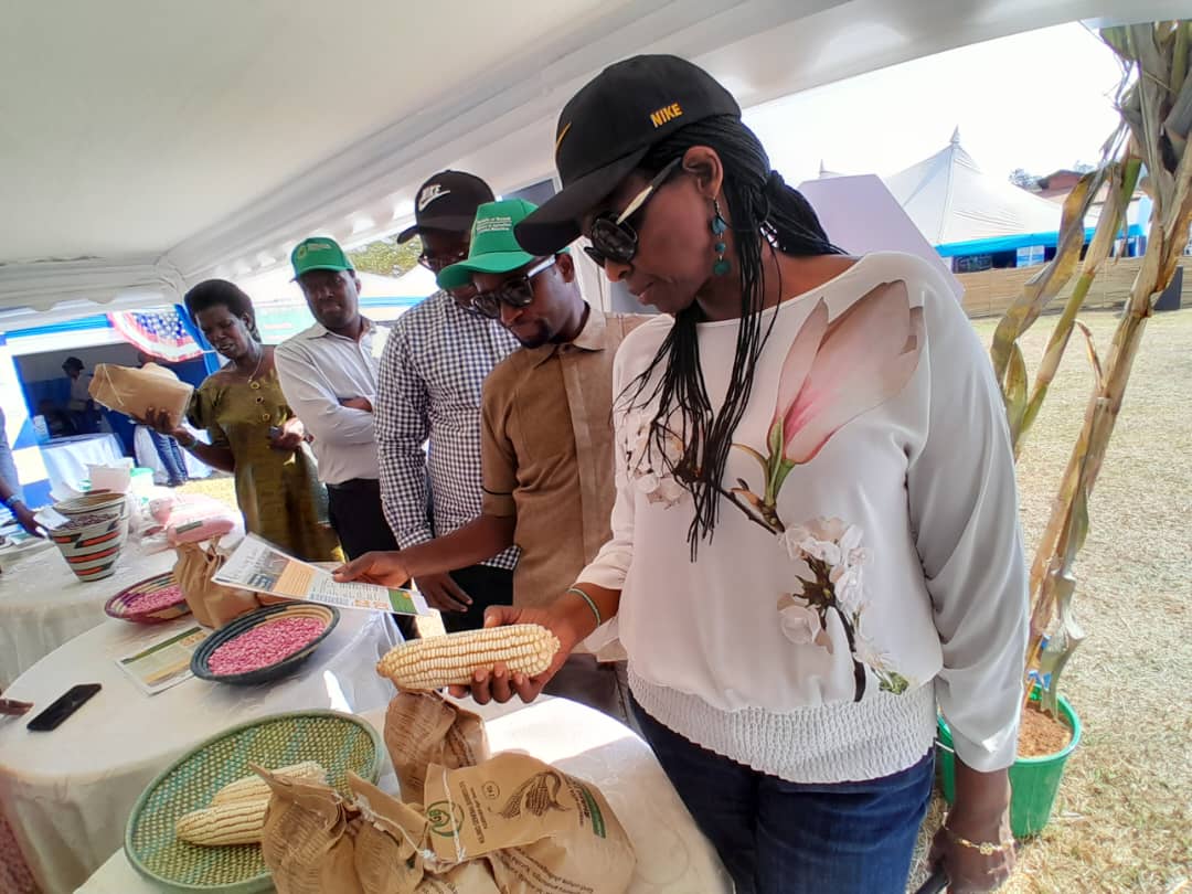 USAID Hinga Wunguke tweet media