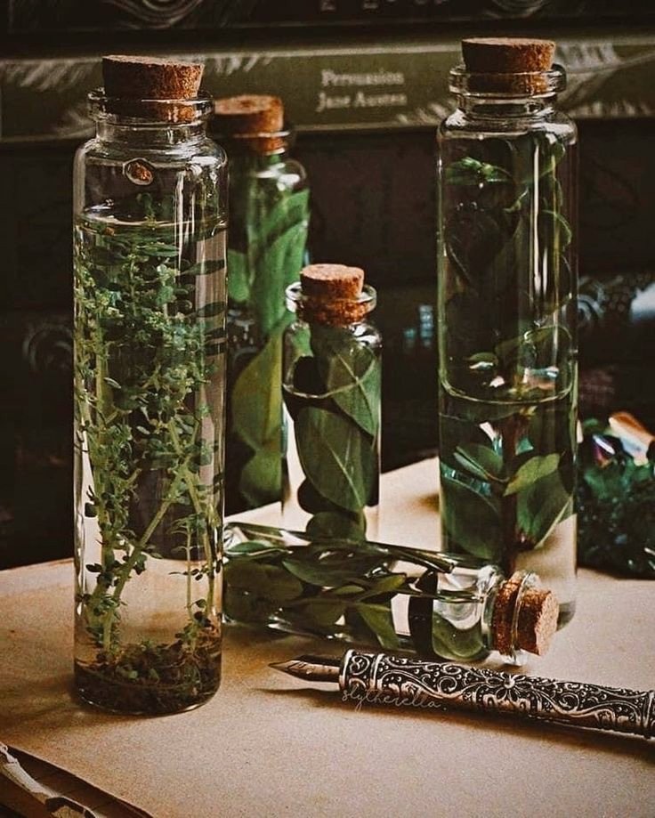 regencyspirit's tweet photo. A study https://t.co/XQldFbem1F