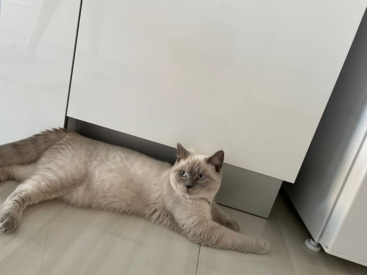 Arzu🇹🇷 tweet media