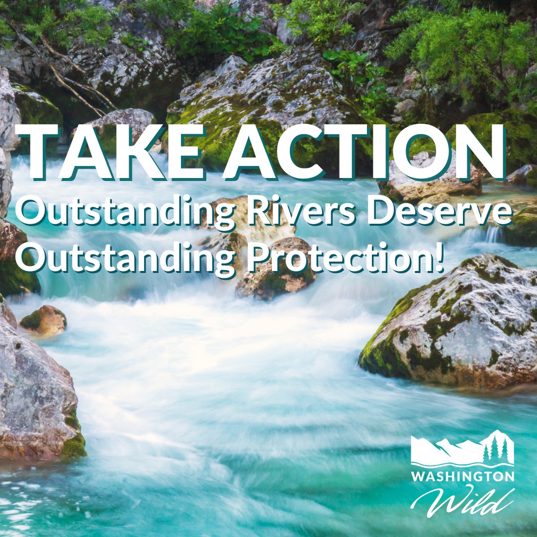 Washington Wild tweet media