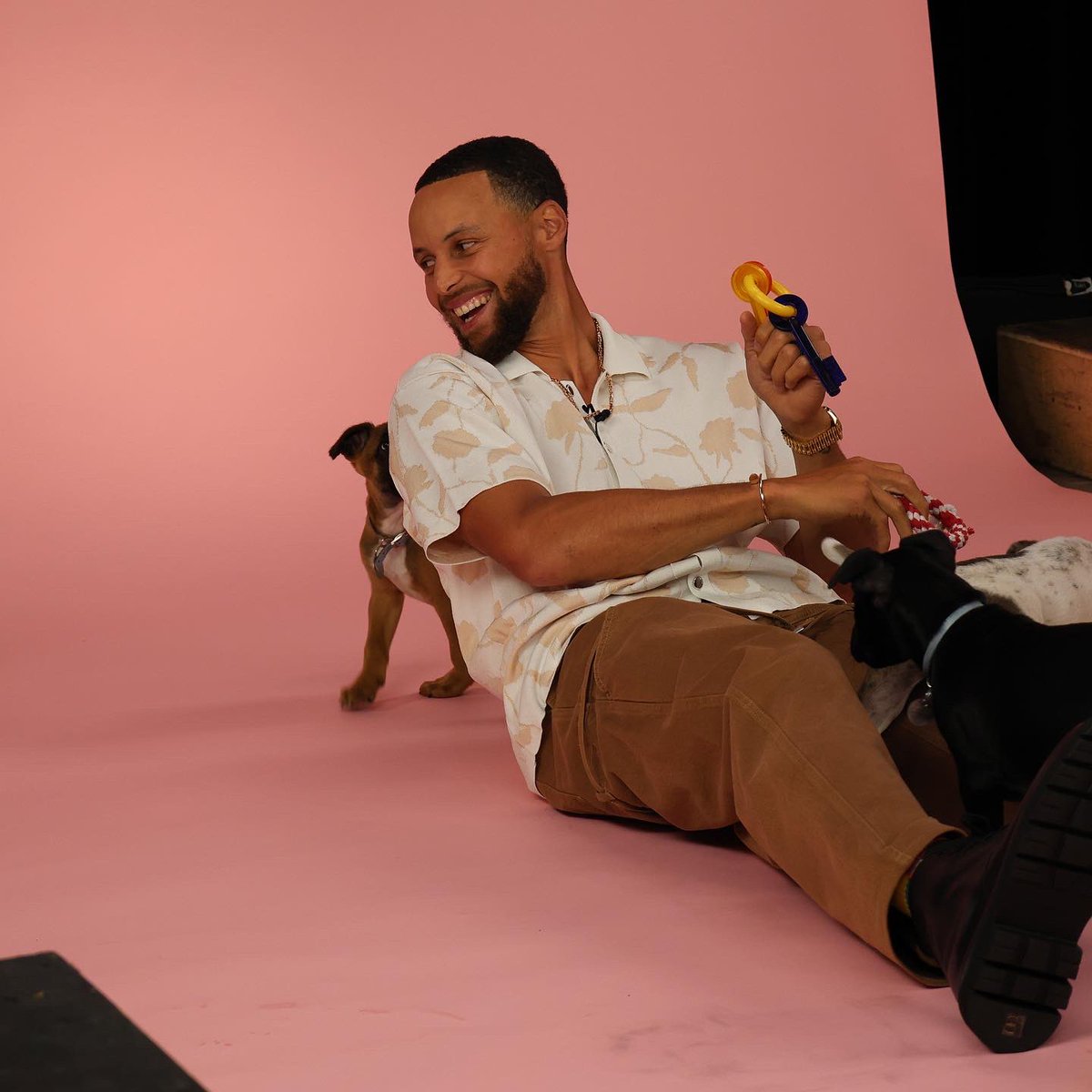 StephenCurry30's tweet photo. Had a phenomenal time with @buzzfeed and some friends for The Puppy Interview! 🐶 Thanks for having me 🙌🏽 https://t.co/6kO2CqLSVA https://t.co/PQnS0rsMNe