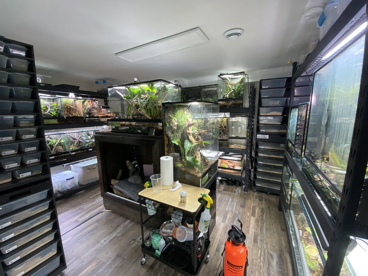 Watching <a href="/Syndicate/">Tom</a> feed Kevin whilst I feed our zoo!