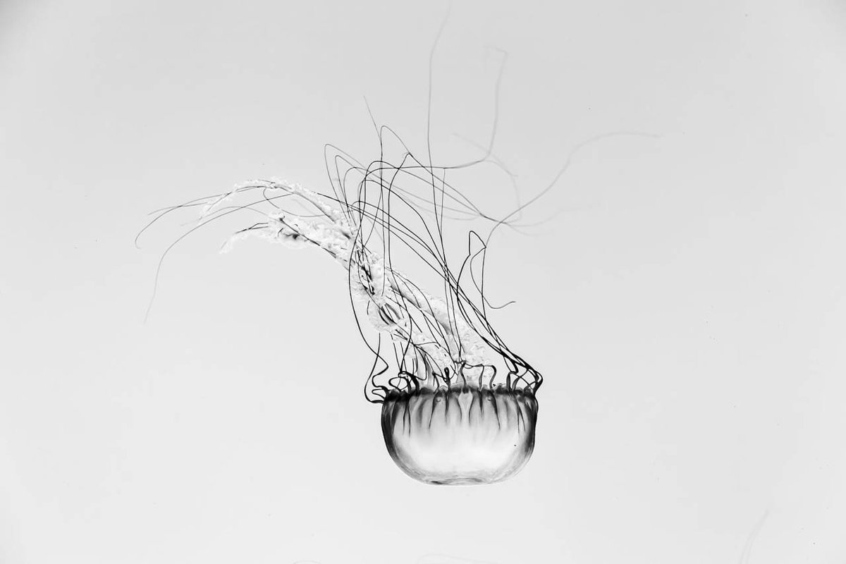 archillect's tweet photo. https://t.co/wRwIcJDW0Y
