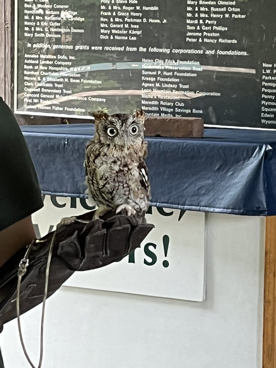 2ndHdes's tweet photo. We had SO MUCH FUN at @SquamLakeCenter today! #hdespride https://t.co/8Nz2bPGWQo