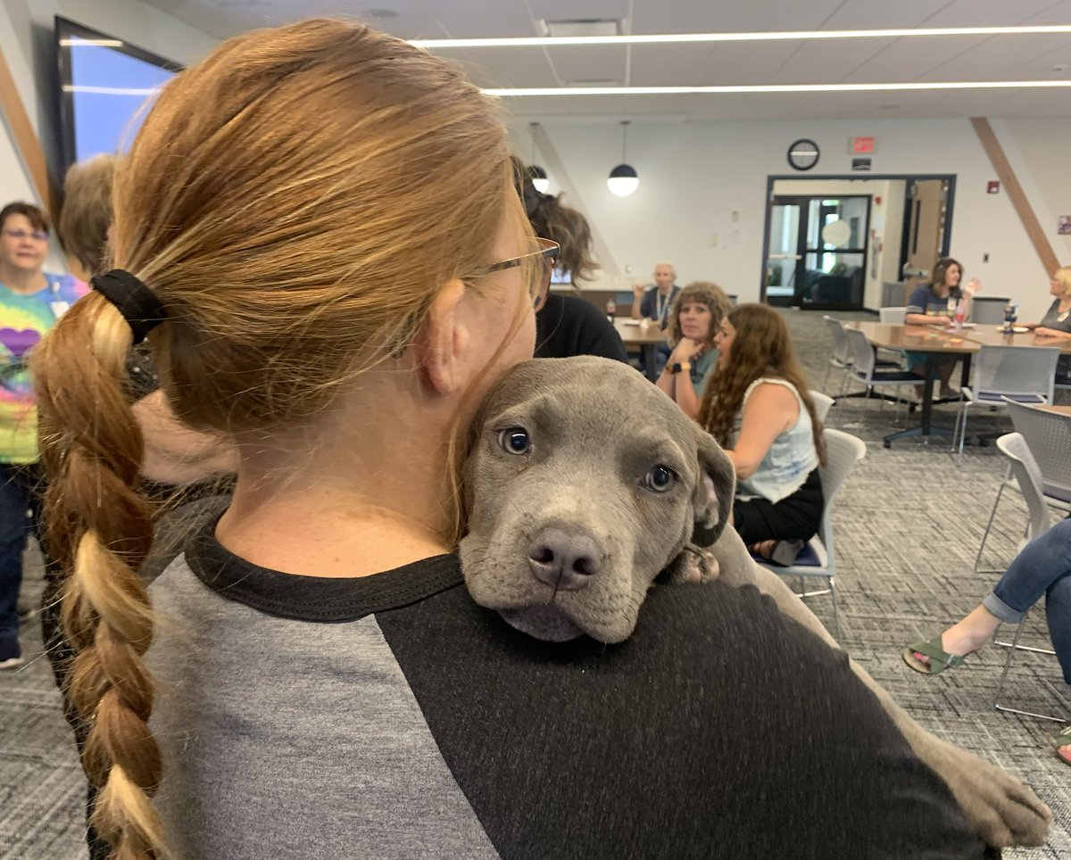 nkcs_wellness's tweet photo. So many laughs and smiles thanks to our friends at @WaysideWaifs 🐾 https://t.co/NaoHHJTJyy