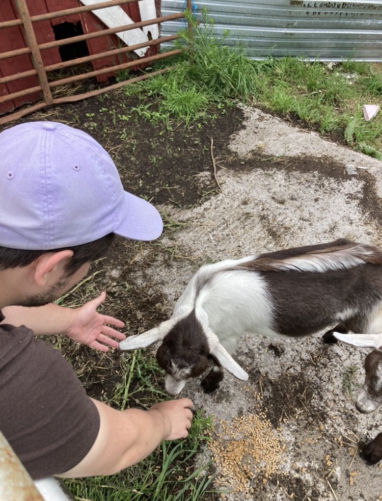 abuugkid's tweet photo. my ken’s job is baby animals. He sends me little video of baby animals and always wants to visit the goats https://t.co/E82czItw6f