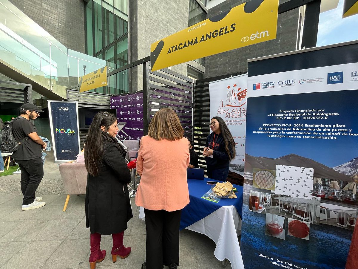 AngelsAtacama's tweet photo. Felices de haber participado durante dos jornadas en el ETM Day de Emprende tu Mente. Logramos conectar con diferentes actores del ecosistema de nuestra región, la cual crece día a día en emprendimiento e innovación🙌 https://t.co/bfLSosadBQ