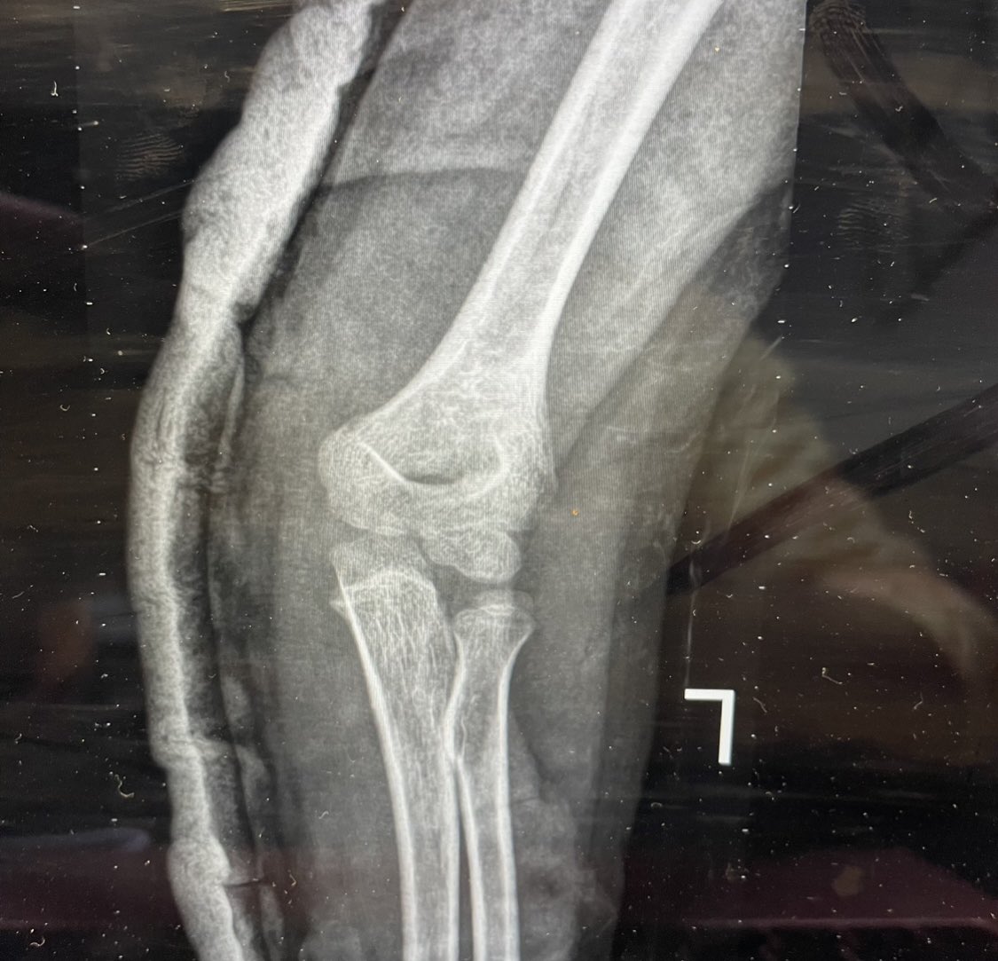 Delniotis Ioannis tweet media