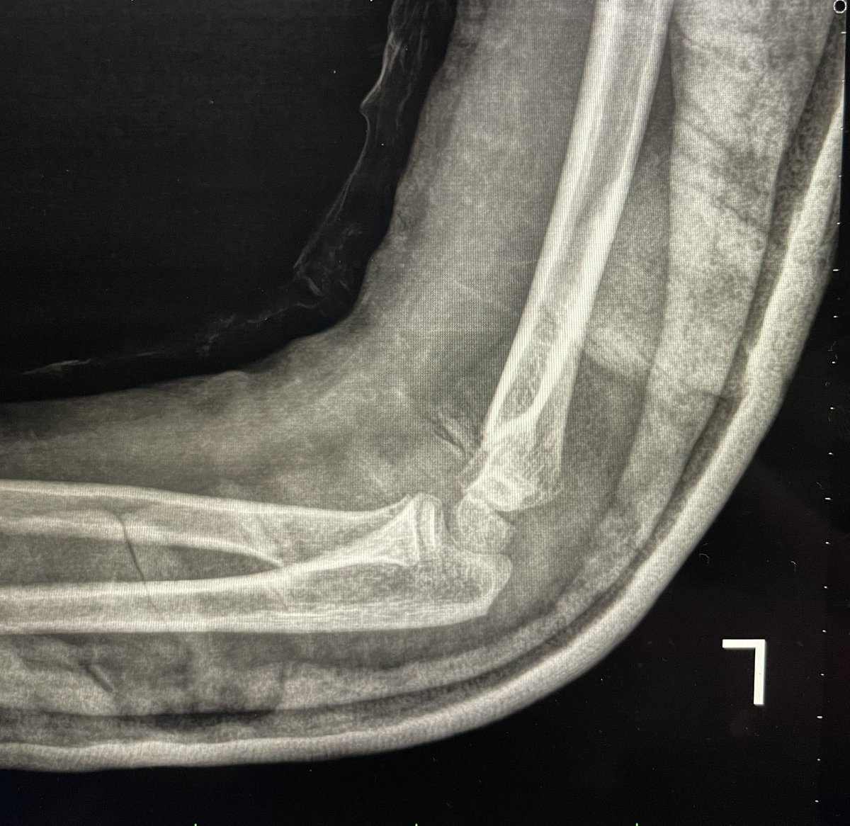 Delniotis Ioannis tweet media