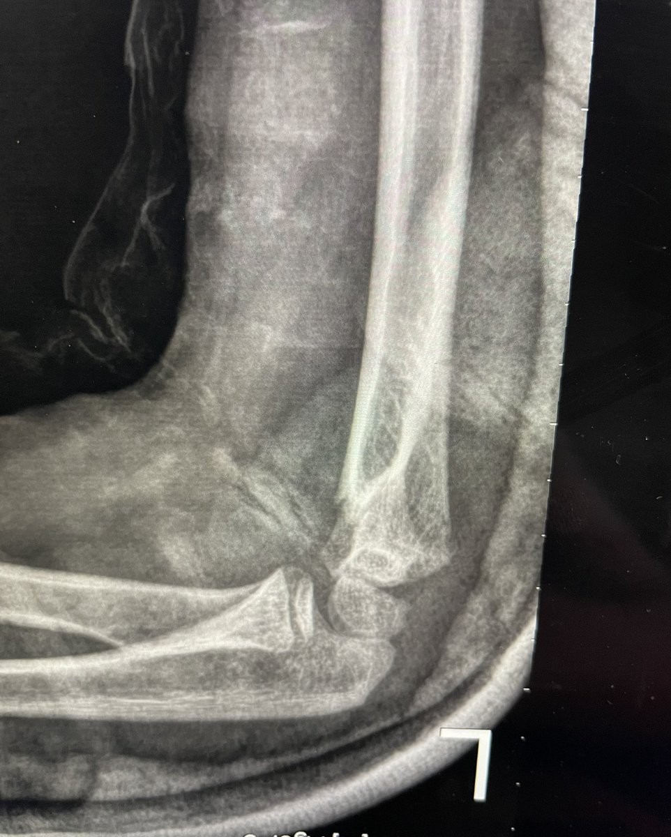 Delniotis Ioannis tweet media