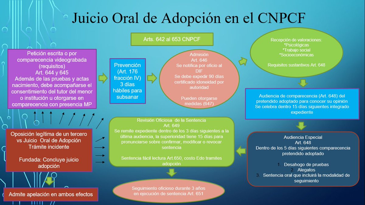 erick_mena's tweet photo. Esquemas con etapas y términos procesales del "Juicio Ordinario Civil Oral", "Juicio Ejecutivo Civil Oral", "Juicio Oral Familiar" y "Juicio de Adopción" en el nuevo Código Nacional de Procedimientos Civiles y Familiares @CNPCyF https://t.co/rKccUyRZdS