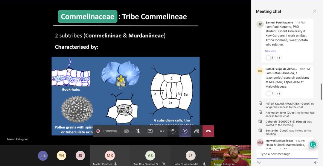 TaxonomyAfrica's tweet photo. Thank you all for attending our virtual seminar. Big thanks to @MOOPellegrini for taking out time to talk to us about thé Commelinales of Africa.
#Commelinales #Taxonomy #Morphology #AfricanPlants https://t.co/64PQceK1Ji