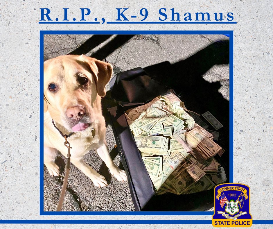 CT_STATE_POLICE's tweet photo. The K-9 Unit regrets to announce the passing of retired narcotics detection K-9 Shamus. Shamus was partner to Det. Miller of the Statewide Narcotics Task Force for 6 yrs, retiring in 2021. His work resulted in the seizure of more than $5 million in bulk currency, #k9 #policedog https://t.co/Ago94nNrOW