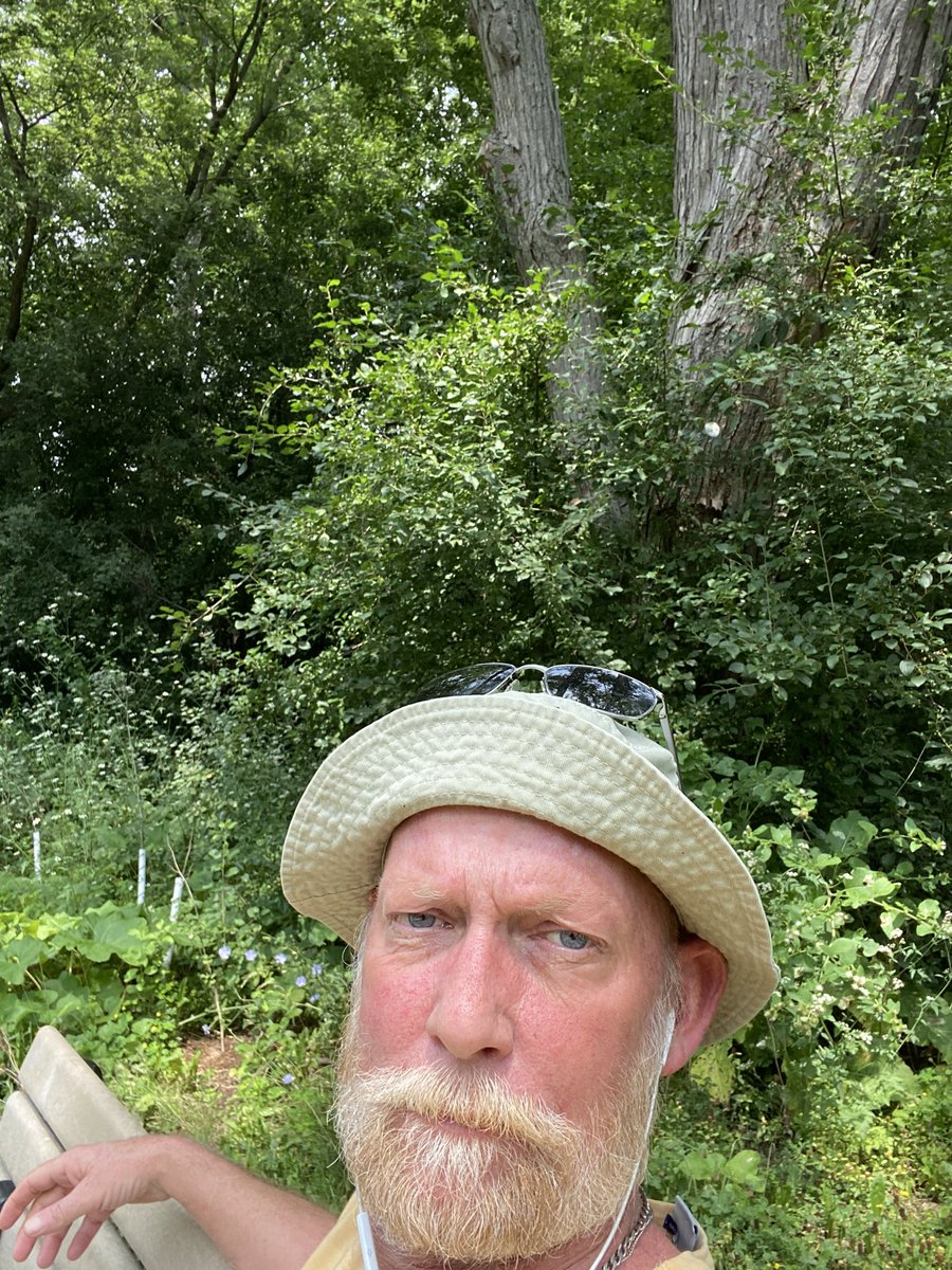 MarkLauchlan77's tweet photo. @musicmeandtea I’m trying!! https://t.co/7rKiCZHt6Z
