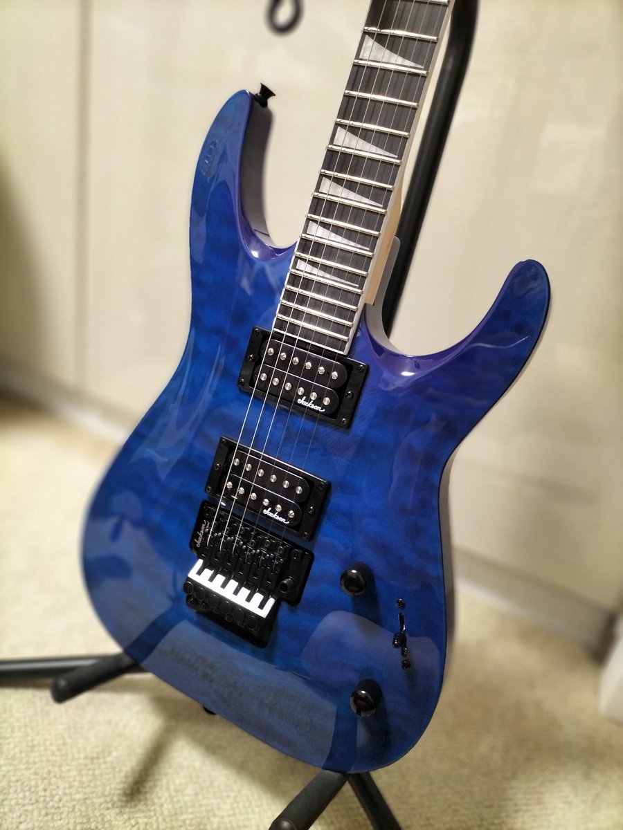 Yuto_2512's tweet photo. my new gear!!!!
#jacson #guitar #エレキギター #青 #rock #metal https://t.co/c1PXVnQZYq