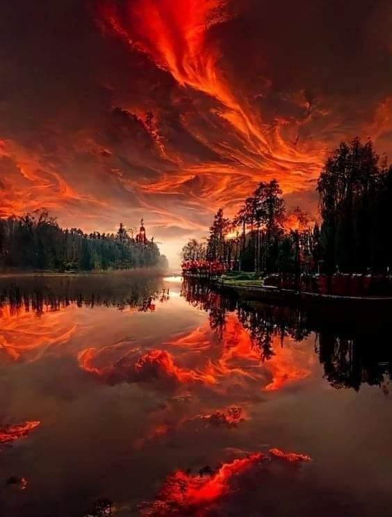 IamIndridCold's tweet image. #SunsetFire #sunset #sunsetting #photography #nature #NaturePhotography