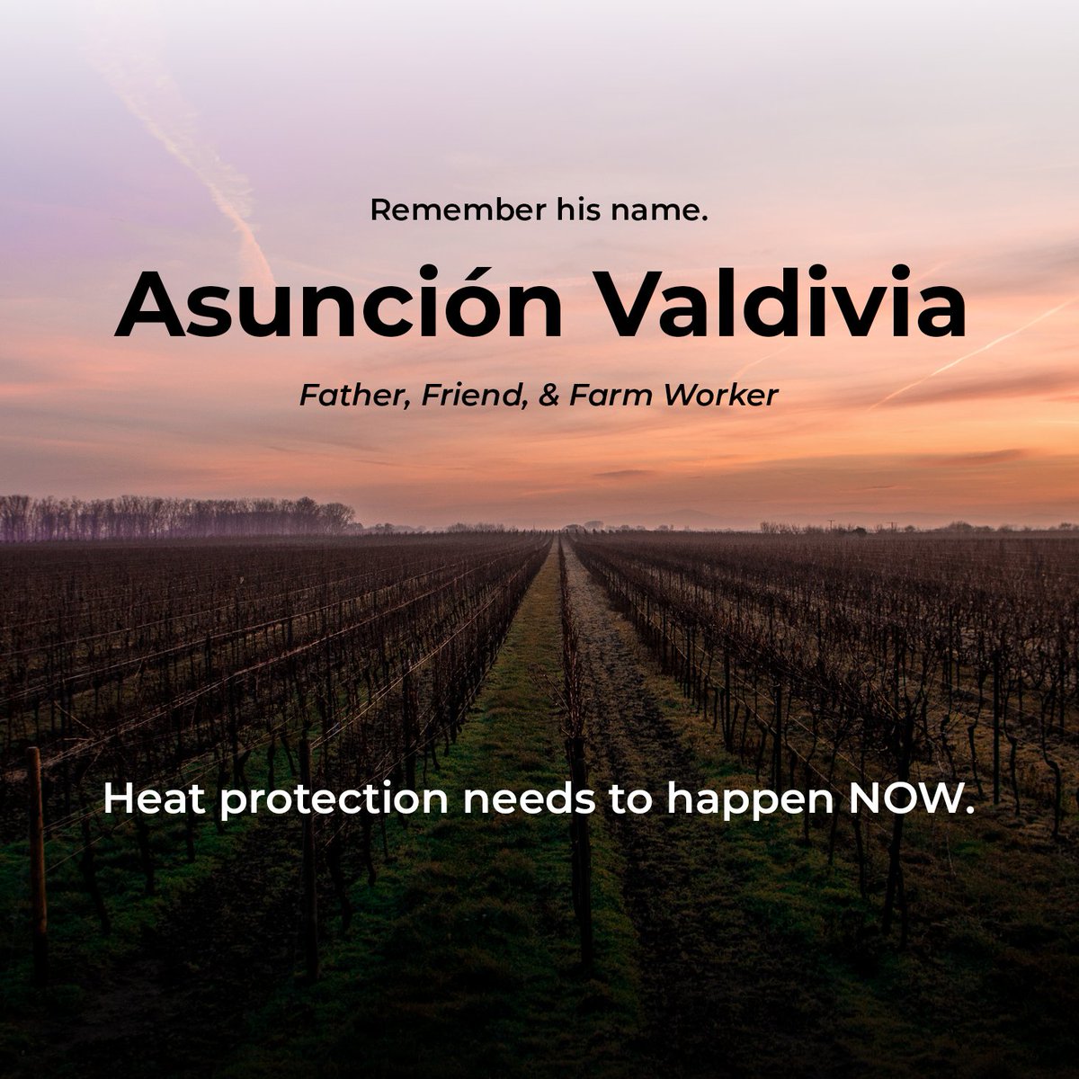 ufwfoundation's tweet photo. In 2005, Asunción Valdivia died of heat stroke after picking grapes for 10 hours in 105-degree heat. He was 53 years old. Instead of calling for an ambulance, his employer told Valdivia's son to drive him home. https://t.co/quh8ms1VrZ