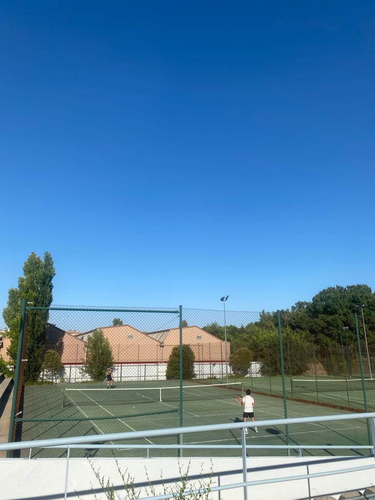 dortiz3's tweet photo. 🎾🎾🎾🎾 https://t.co/wm87RwQ250