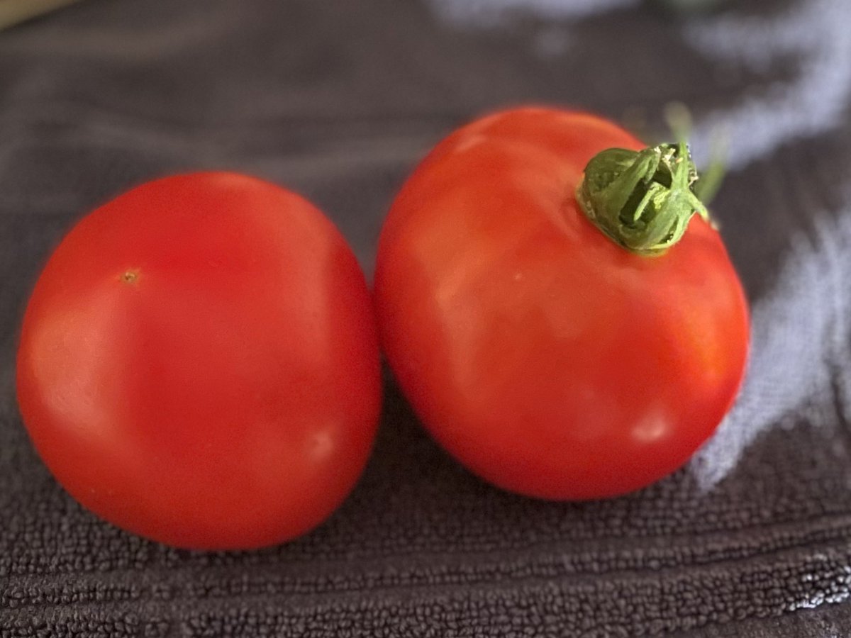 M. Hinton tweet media