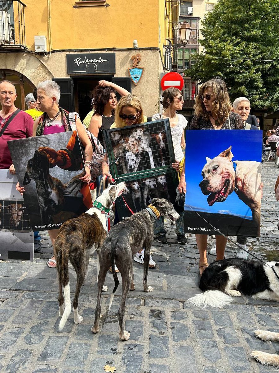 AnimaNaturalis's tweet photo. 🇪🇸✊🐾 Hoy, más de 100 personas hemos salido a las calles de Logroño para preguntar al PP y VOX qué va a pasar con los animales.  

⚠️  No se puede derogar una ley de protección animal de hoy para mañana, dejando a los animales desprotegidos.

❌ @LaRiojaPP @voxlarioja https://t.co/rhsm9l7Kyd
