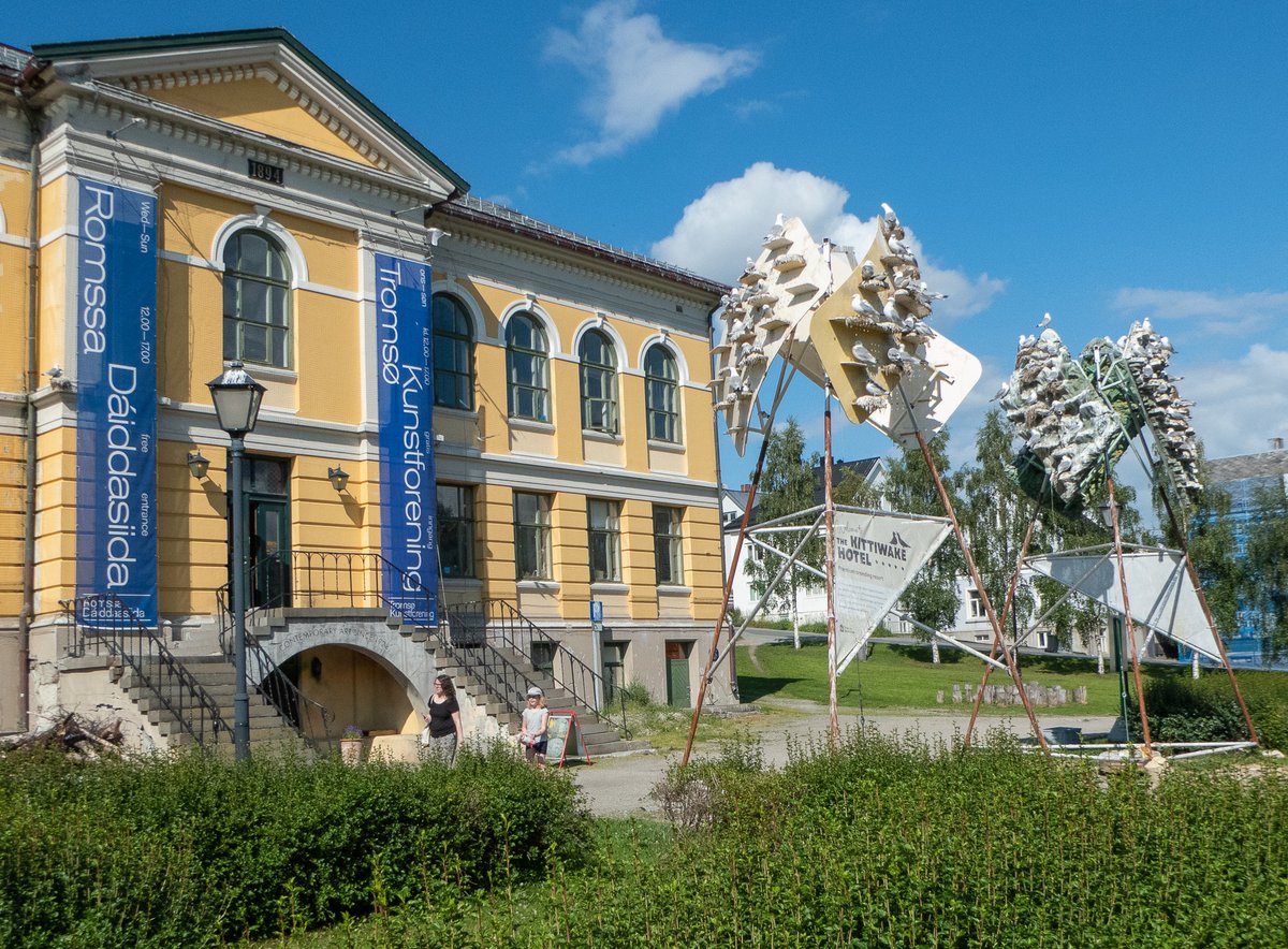 Pikkukajava on Norjassa erittäin uhanalainen. Ympäristön-/ilmastonmuutos ajaa kajavia pesimään kaupunkeihin. Tromssassa kaupunkikajavia ei häädetä vaan houkutellaan keinopesiin. Olisiko meillä jotain opittavaa - ratkaisuina "lintuongelmiin" nähdään usein häätäminen tai ampuminen?