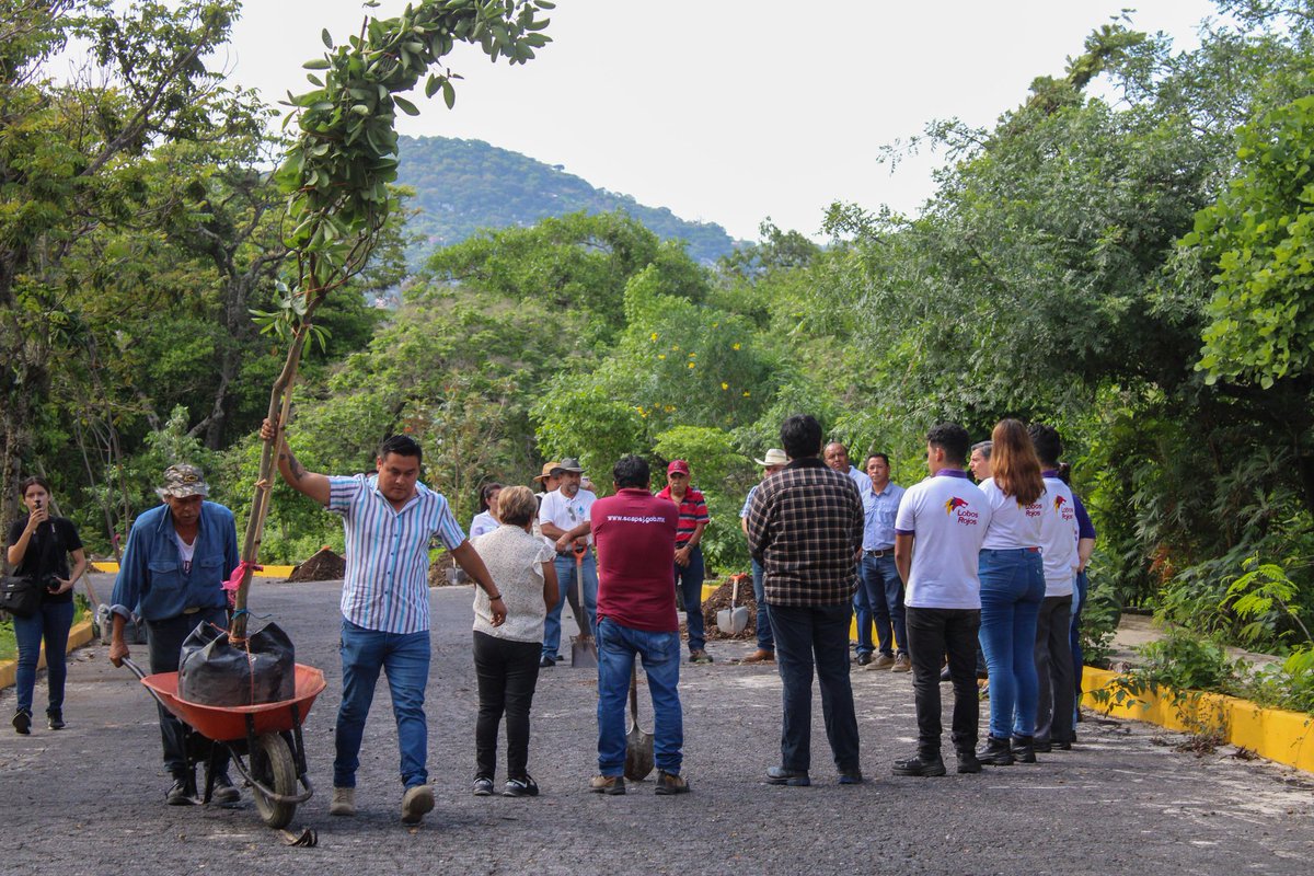 Propaem_Morelos tweet media